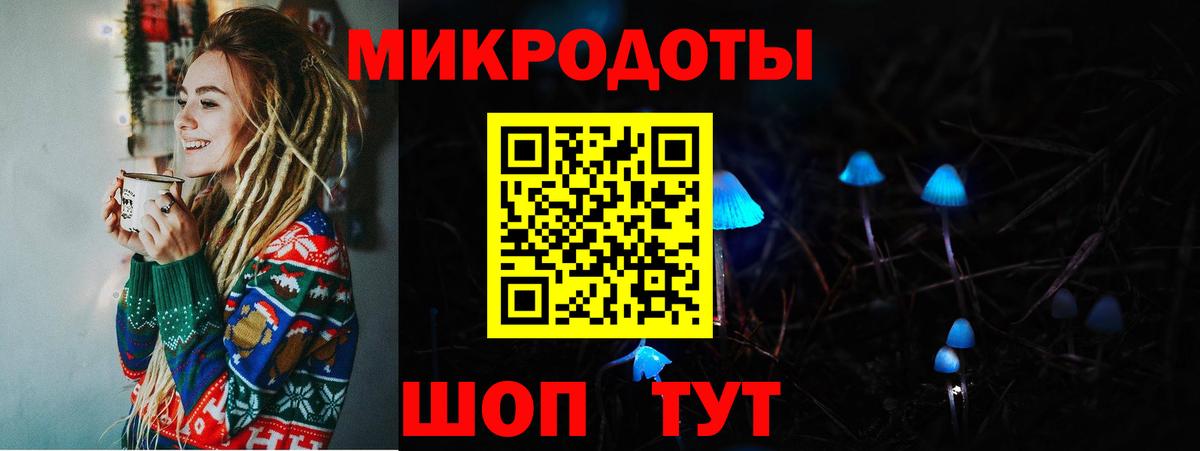 Галлюциногенные грибы прущие грибы  Вход с VPN  Кондопога 